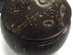 -志龙皇冠吃货椰子铺