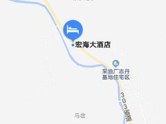 -宏海大酒店