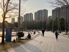 -南翔镇银翔湖公园