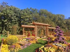 -上海共青森林公园