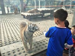 -西安秦岭野生动物园