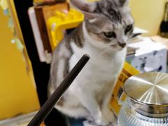 -谜盒子奇幻密室(南屏店)