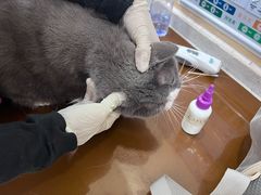-美联众合动物医院·24h京西诊疗中心