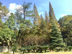 -南岳衡山风景名胜区