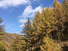 -苏木山森林公园