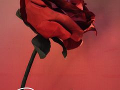 -小红楼美术馆·咖啡