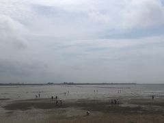 -北海金海湾红树林生态旅游区