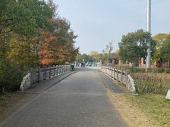 -上海海湾国家森林公园