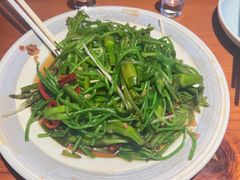 -菌自由丨野生菌火锅特色庭院餐厅(丽江古城店)