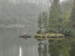 -重庆彩云湖湿地公园