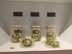 -百威中国啤酒博物馆