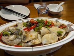 藤椒鲈鱼-又一福烤鸭·北京菜(东四店)
