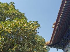 -天龙宝严素食馆(大兴善寺店)