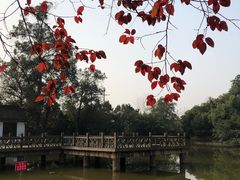 -三圣花乡旅游区