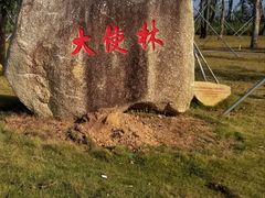 -芒洲湿地公园
