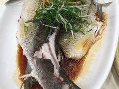 姜葱蒸山坑鲩-海晖酒楼·顺德鱼生(荣华店)