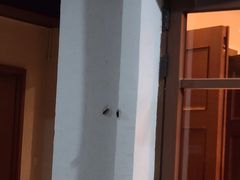 -候鸟水榕庄度假酒店