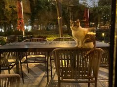 -杭州君悦酒店·青莳