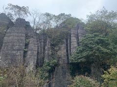 -山王坪喀斯特国家生态公园