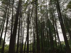 -东湖生态旅游风景区