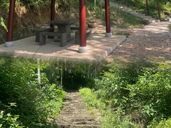 -东明山森林公园