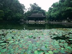 -忠山公园