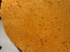 -吴越荣记苏州菜·松鼠桂鱼100%活鱼现做(斜塘老街店)