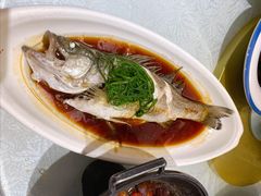 -新日月育才大酒店-中餐厅(环城北路店)