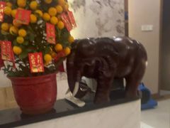 -品足轩足疗·按摩·SPA(朗晴店)