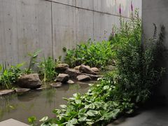 -中国湿地博物馆