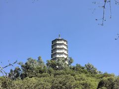 -深圳国际园林花卉博览园