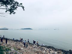 -宝安西湾红树林湿地公园