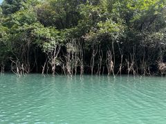 -郧西五龙河风景区