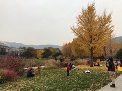 -北京植物园-展览温室