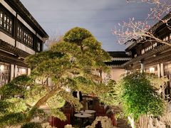 -金海华·华宴江南(斜塘店)