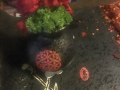 -滇釜火锅·能喝汤的火锅(车公庄店)