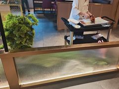 -宏宴·新京菜(望京店)