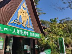 -野象谷景区