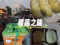 -双福水果批发市场