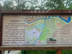 -汤旺河林海奇石景区