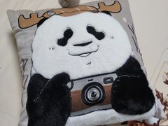 -都江堰中华大熊猫苑