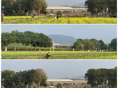 -光明小镇欢乐田园