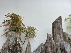 -中国昆曲博物馆