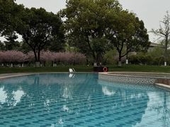 -阳澄湖费尔蒙酒店