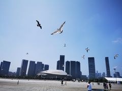 -东港音乐喷泉广场