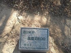 -梧桐山风景名胜区