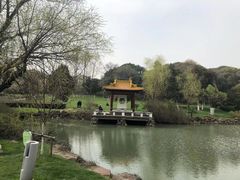 -太湖饭店·寄畅轩中餐厅