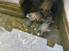 -红螺寺
