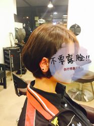 -大象造型