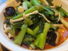 -新白鹿餐厅(城西银泰城店)